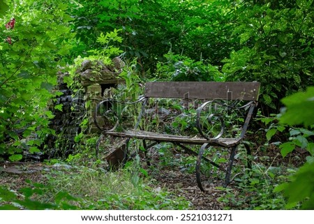Bench in a nature park, Image shows a aged sitting bench along a footpath in a nature park surrounded by shrubs and greenery 