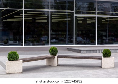 A Bench Near The Facade With Panoramic Windows Of The Shopping Center, A Wooden Bench With Stone Flowerpots For The Bushes.