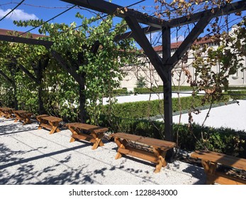 Bench Near The Grape Arbor