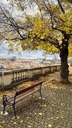 Bench Near A Tree In An Autumn Park With Prague In The Background