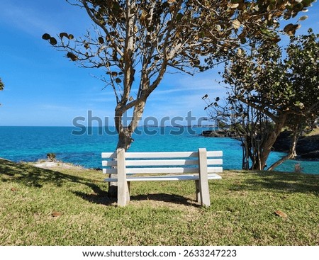 A bench with an ocean view.