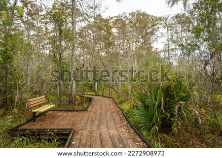 Bench on a boardwalk trail through wild Louisiana swamp and marsh in Barataria Preserve outside Marrero near New Orleans, USA