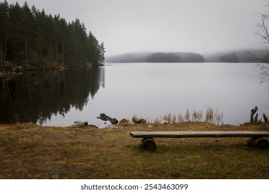 bench on the lake shore in a misty morning  - Powered by Shutterstock