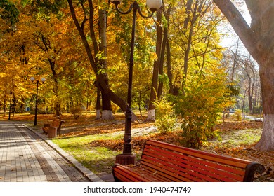 Bench On The Park Alley In Golden Autumn Time In Kyiv, Ukraine