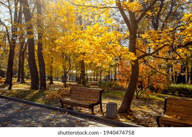 Bench On The Park Alley In Golden Autumn Time In Kyiv, Ukraine