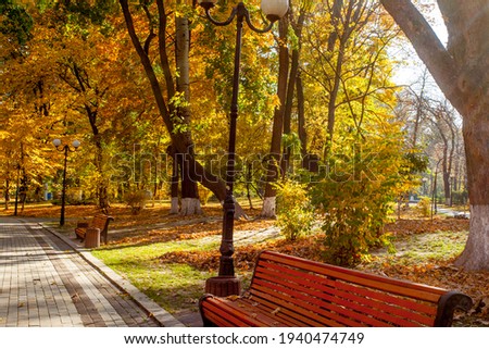 Similar – Image, Stock Photo on the yellow bench