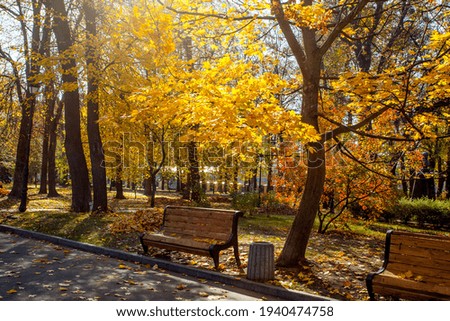 Similar – Image, Stock Photo on the yellow bench