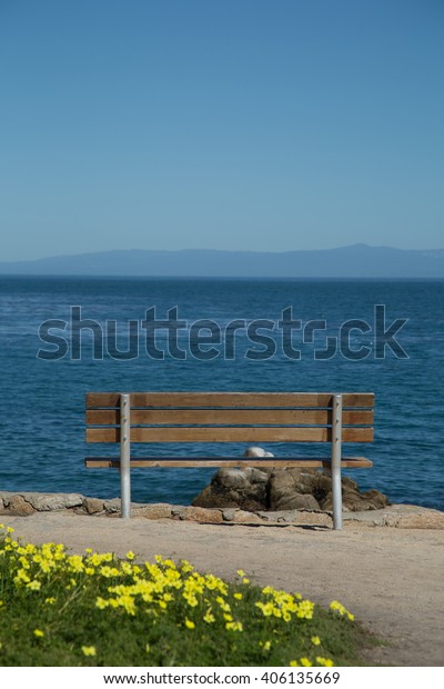Bench Overlooking Pacific Ocean Monterey Bay Stock Photo Edit Now