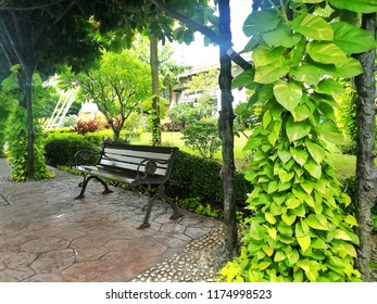 Bench in the park.
