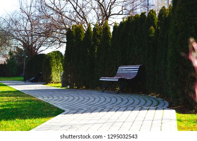 Bench in the Park