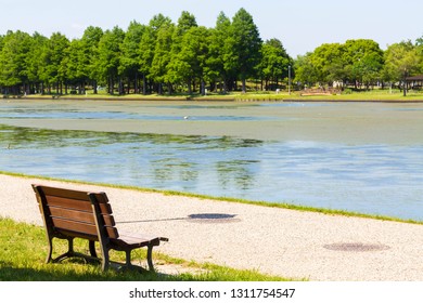 Bench in park