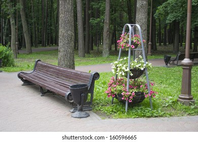 Bench in a Park. 