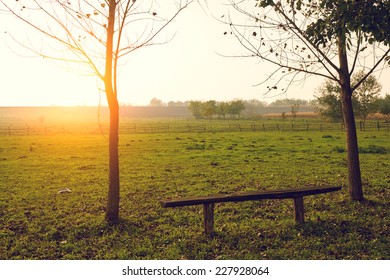 Bench in the park