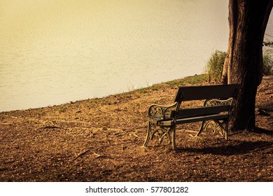 Bench in the park