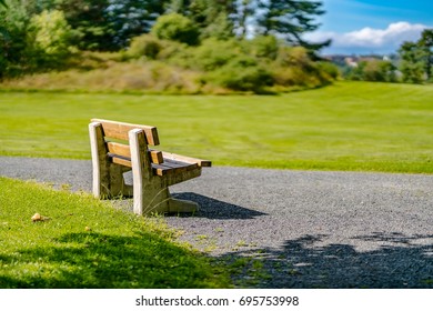 A bench in the park