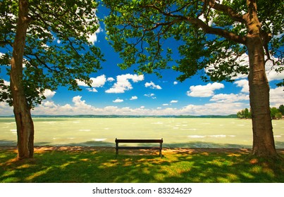 Bench in the park
