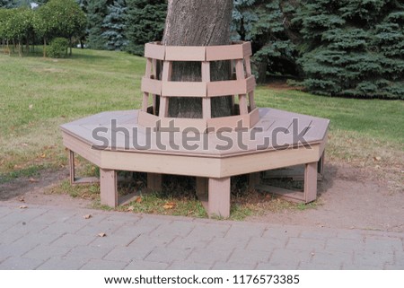 Bench in the Park.