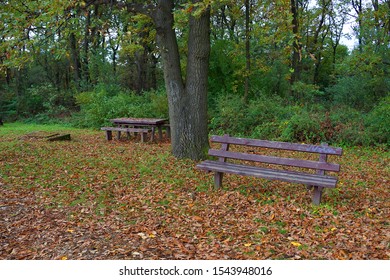 Bilder Stockfotos Und Vektorgrafiken Holzbank Garten Shutterstock