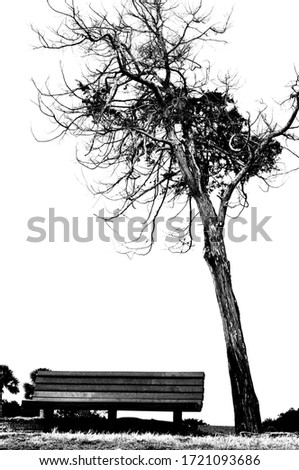 Similar – Image, Stock Photo Windy today Environment