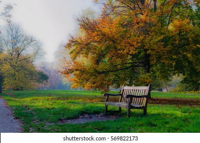 Bench In A Park By A Tree In Autumn At Hyde Park