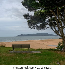 Bench In A Park At Oceanside, Kaeo, Far North District, North Island, New Zealand