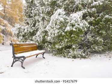 Bench In Park Under Snow