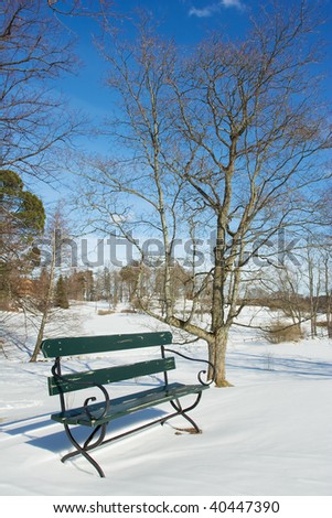 Bench in a park in winter