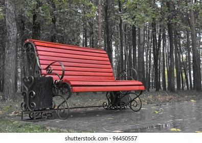 Bench In A Rainy Park