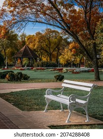 A bench to relax body and soul with autumn colours in the background in Palic, Serbia - Shutterstock ID 2074288408