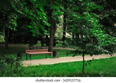 Bench Plant Stock Photos Images Photography Shutterstock