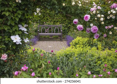 Bench In A Rose Garden. 