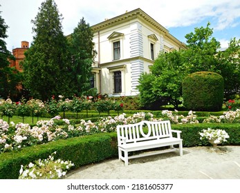 A bench in a rose garden at the Herbst Palace, Łódź, Poland