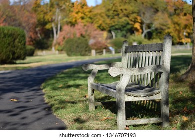 Bench In Sagamore Hill In The Autumn With Foliage In The Background