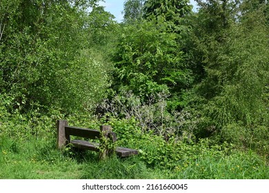 Bench Seat With Overgrown Obstructed View On A Spring Day