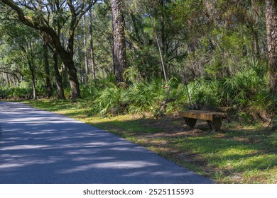 The bench sits along the pathway of vibrant autumn (fall) colored ferns. Lettuce Lake Park. Autumn (fall) colored ferns trees and other foliage line this popular park. Lettuce Lake Park Hillsborough C - Powered by Shutterstock