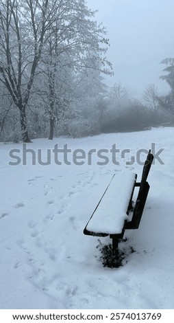 Similar – Image, Stock Photo wonderland Peaceful silent