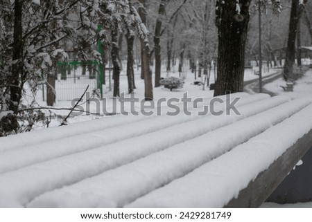 bench with snow in the winter.