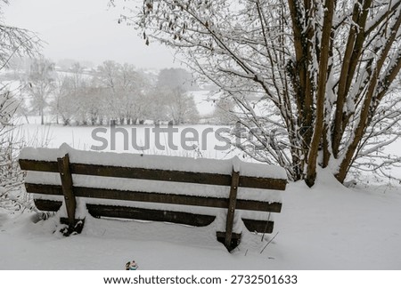 A bench in snowfall on a winterday with snowfall