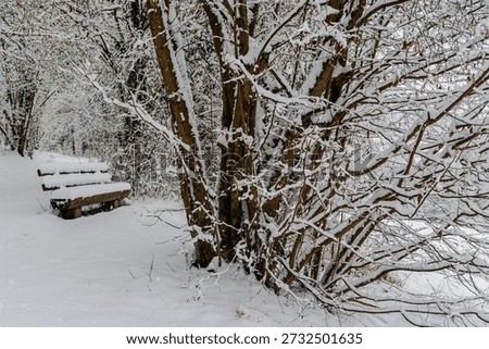 A bench in snowfall on a winterday with snowfall