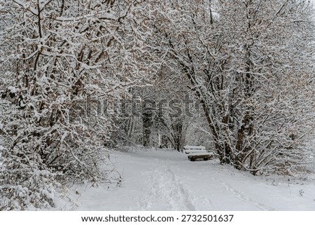 A bench in snowfall on a winterday with snowfall