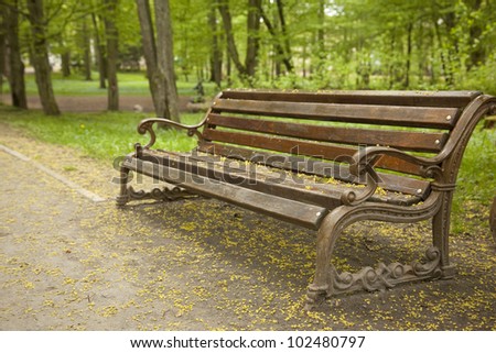 Bench in the spring park