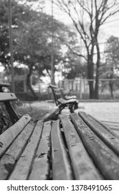 bench in the square