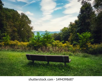 A Bench With A Stunning Vista