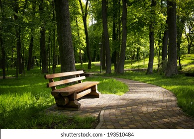 Bench in the summer park with old trees and footpath