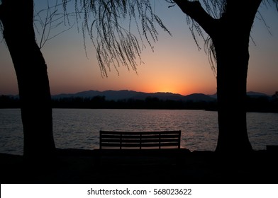 Bench at sunset with trees on the shore, beautiful evening scene, willow trees silhouette