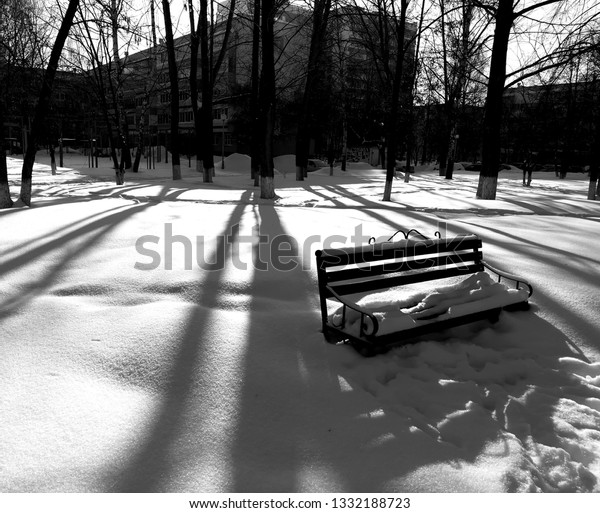 bench in sunshine in\
winter