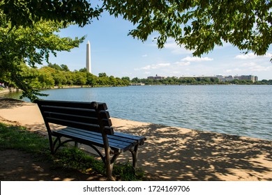 A bench surrounded by greenery and water with the National Mall in Washington DC on the background