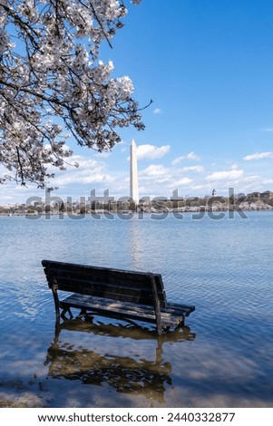 Bench at the tidal basin sits in flooded water. A new sea wall will be constructed to repair the area