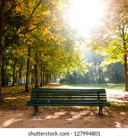 Bench In Tiergarten Berlin In Late Summer