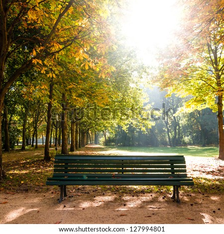 bench in tiergarten berlin in late summer